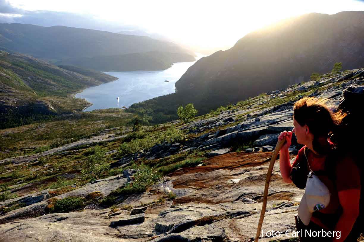 LomsdalVistenFotoCarlNorberg