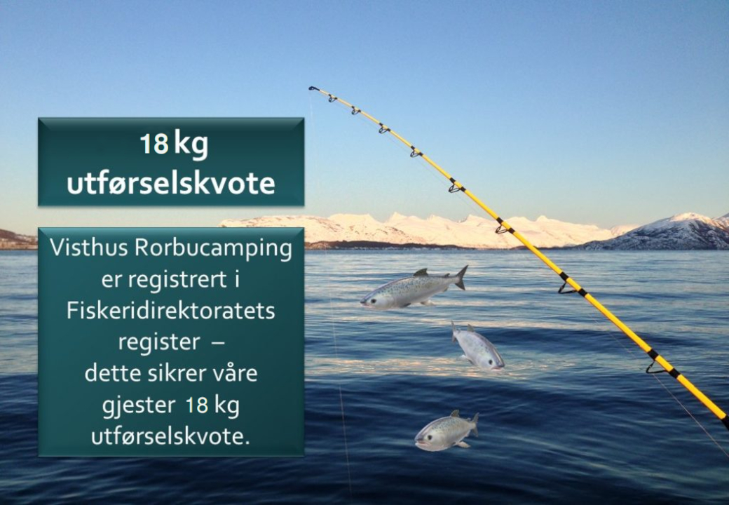 18 Kg Utførselskvote
